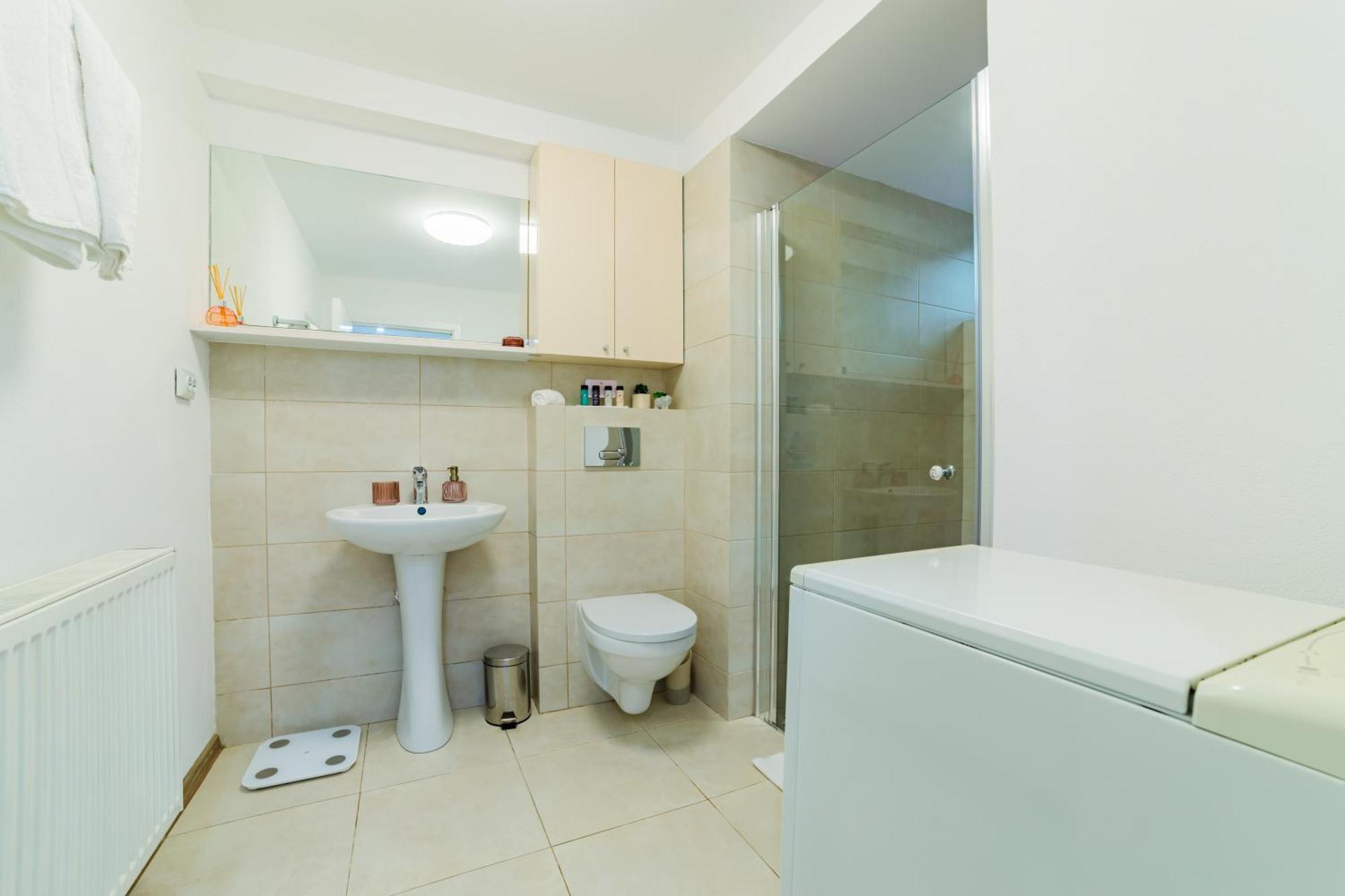 Sabin Apartments Private Parking Braşov Extérieur photo